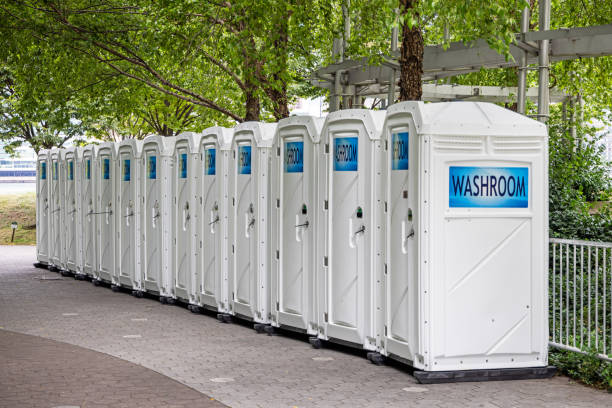 Best Affordable portable toilet rental  in Ester, AK